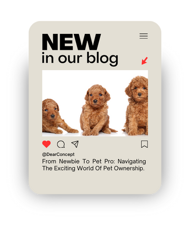 From Newbie to Pet Pro: Navigating the Exciting World of Pet Ownership
