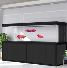 500 Gallon Tempered Glass Aquarium Black