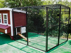 Chicken Coop Walk in 8' Chicken Run