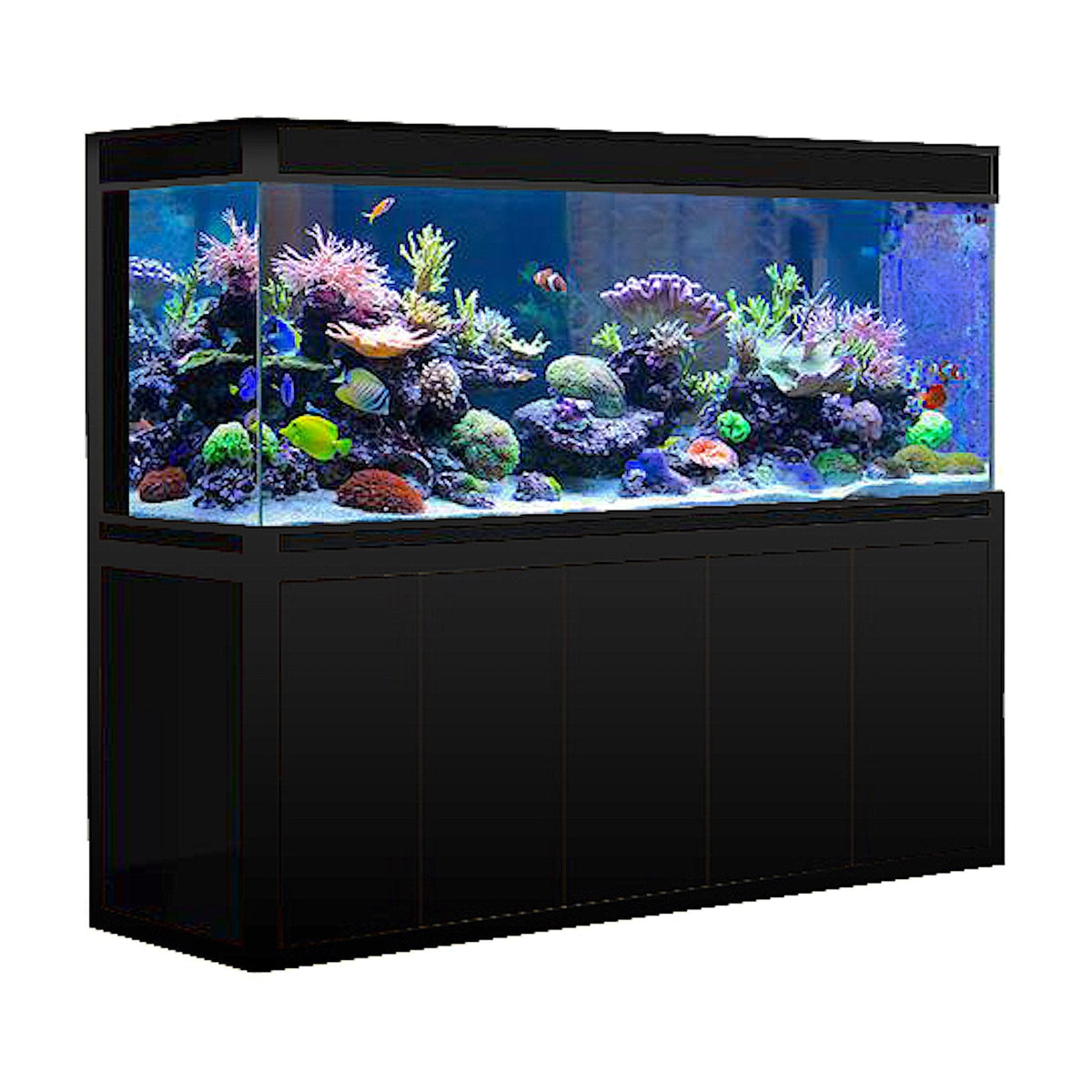 260 Gallon Aquarium Black Premium